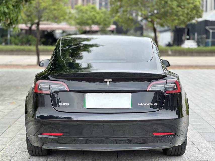 Tesla Model 3 2021 #10 Tesla Model 3 2021 car image #10