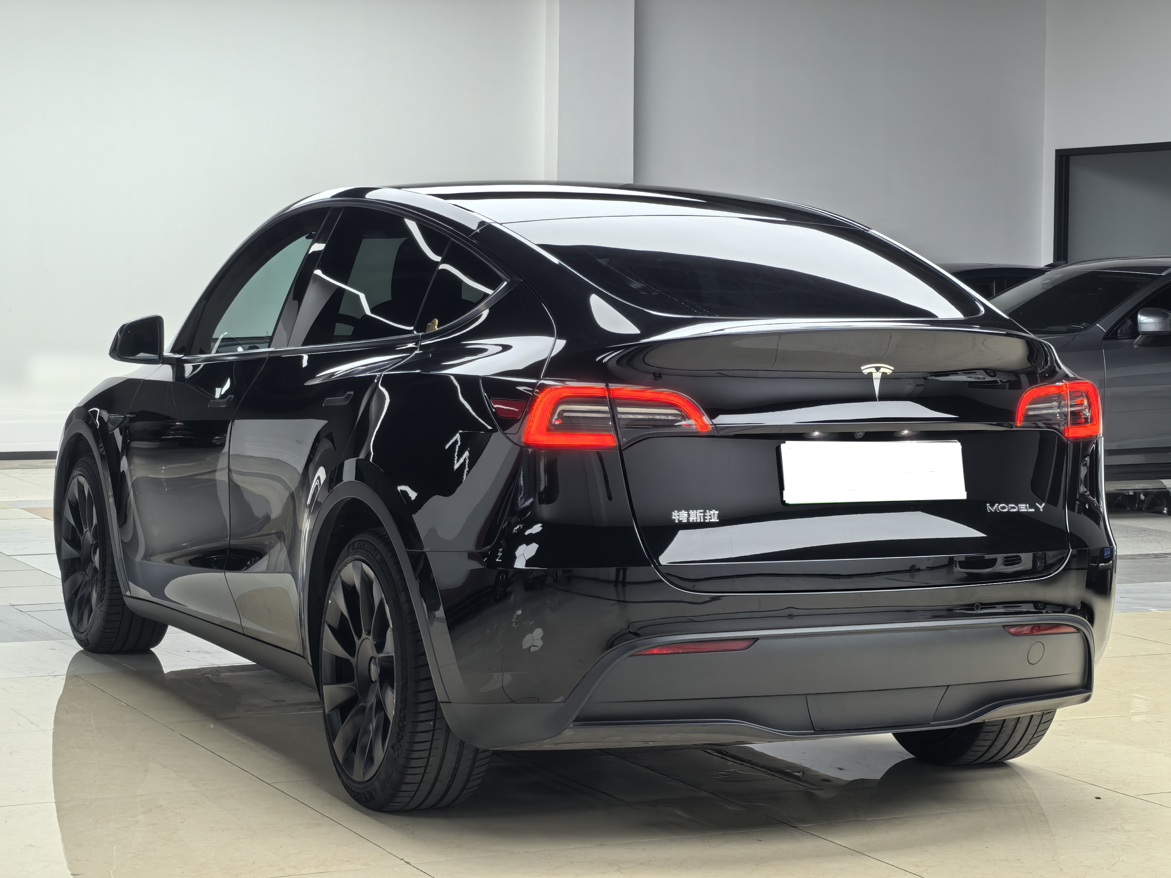 Tesla Model Y 2021 car image #10