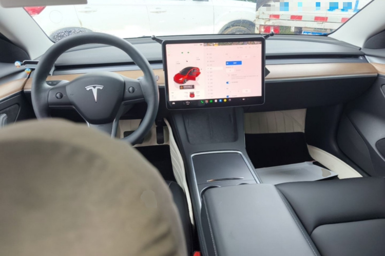 Tesla Model 3 2022 #10 Tesla Model 3 2022 immagine di auto #10