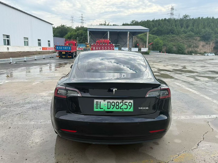 Tesla Model 3 2020 car image #7