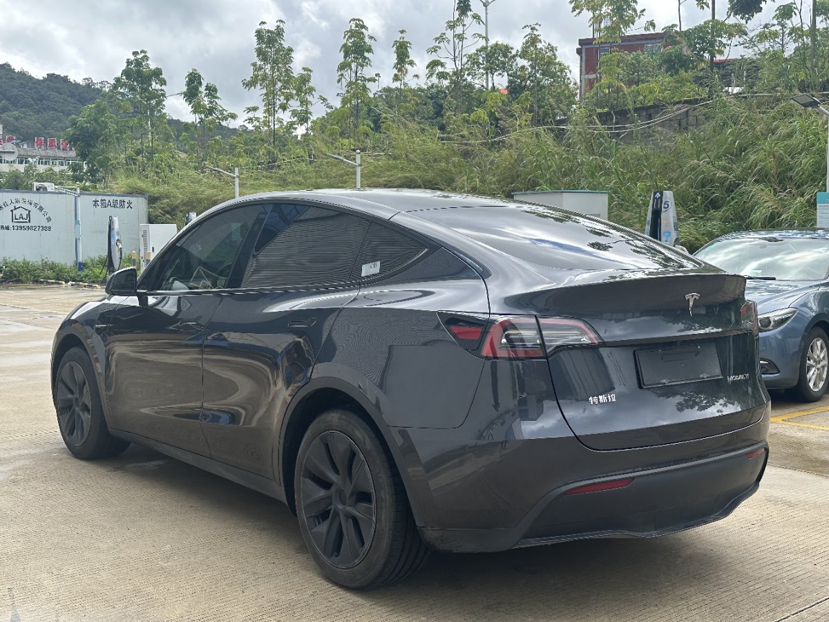 Tesla Model Y 2024 car image #6