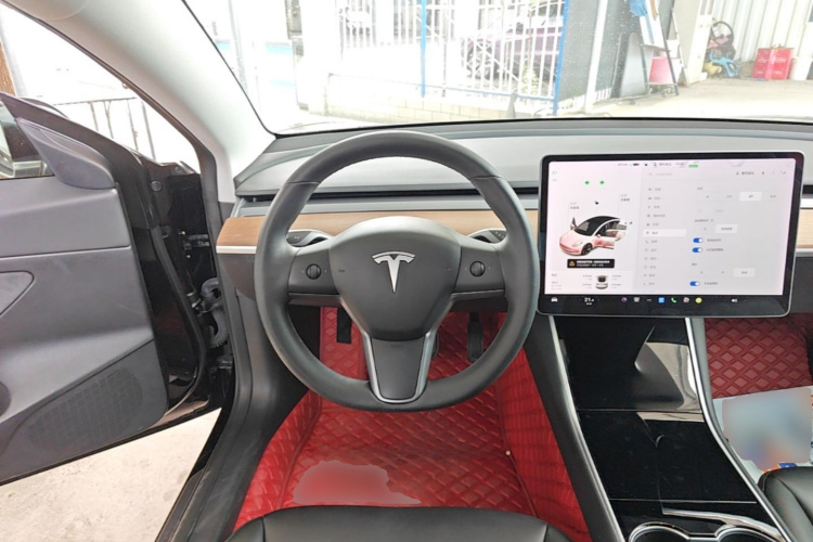 Tesla Model 3 2020 car image #11