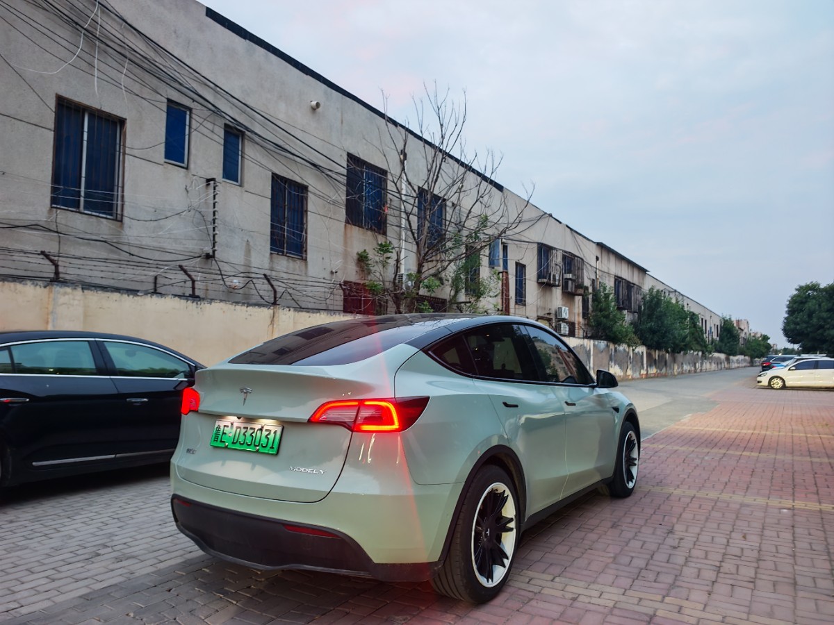 Tesla Model Y 2024 car image #5