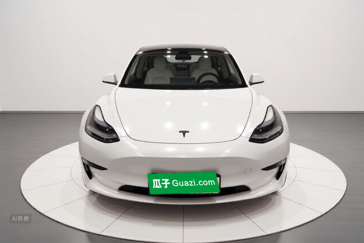 Tesla Model 3 2022 #3 Tesla Model 3 2022 car image #3