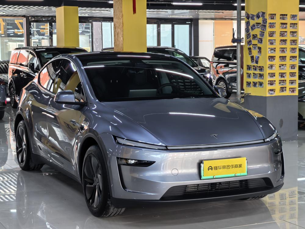 Tesla Model Y 2025 car image #3