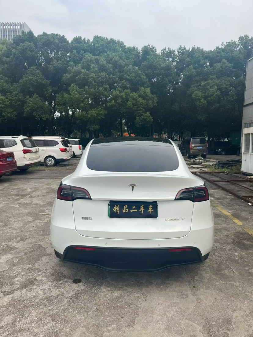 Tesla Model Y 2021 #8 Tesla Model Y 2021 car image #8