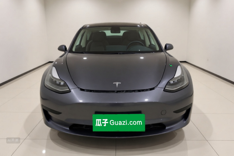 Tesla Model 3 2020 car image #3