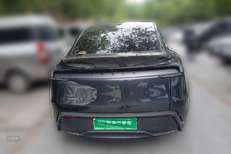 Tesla Model Y 2025 car image #6
