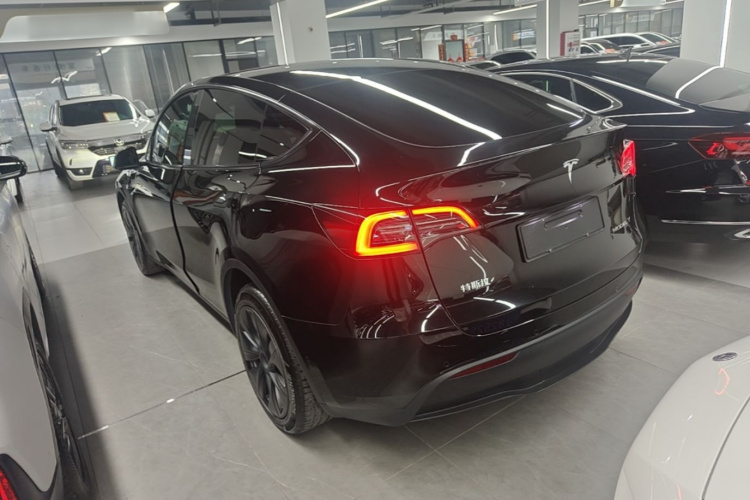 Tesla Model Y 2024 immagine di auto #5