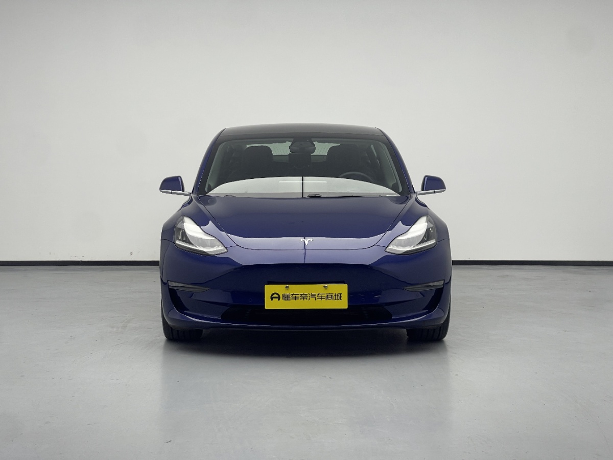 Tesla Model 3 2020 car image #2