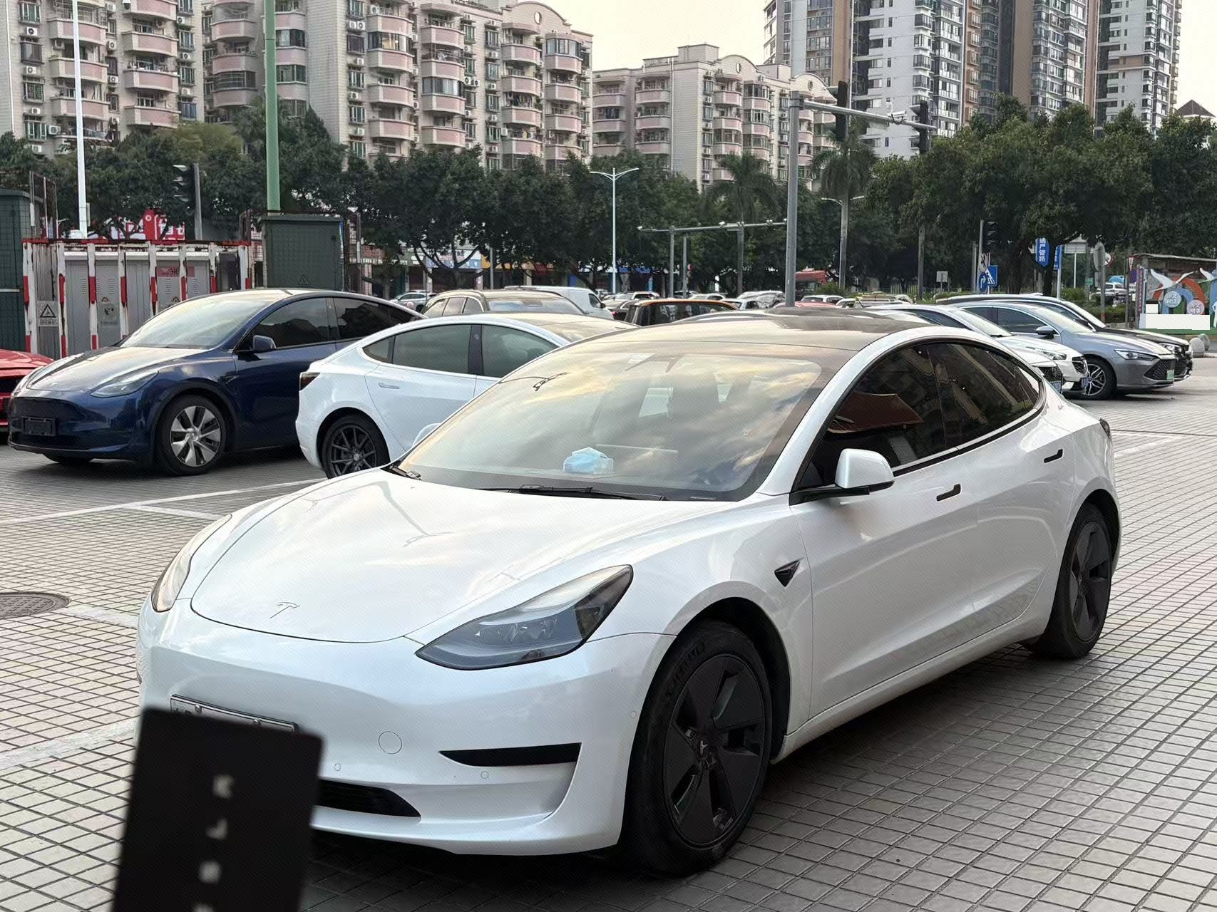 Tesla Model 3 2021 car image 
