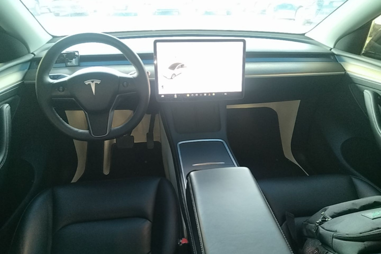 Tesla Model Y 2021 car image #10