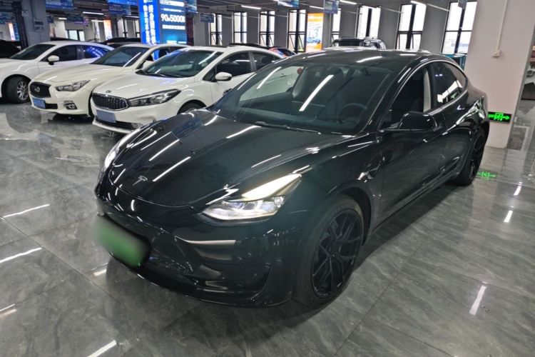 Tesla Model 3 2021 car image #2