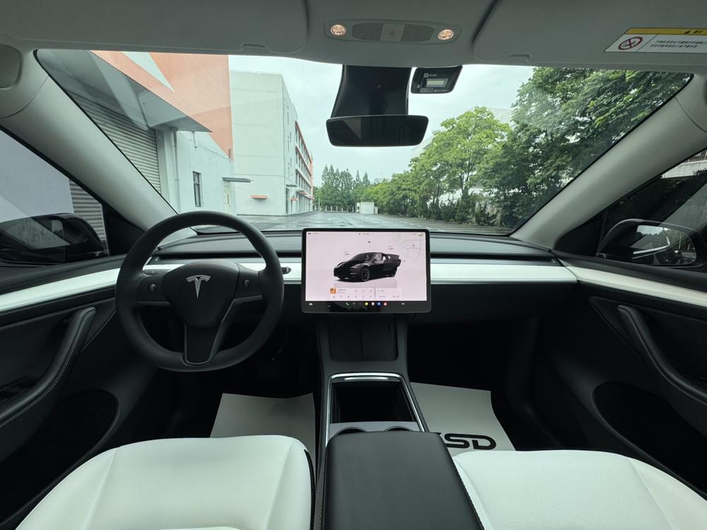 Tesla Model Y 2022 car image #10