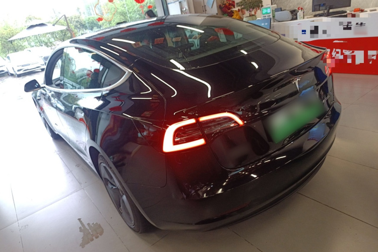 Tesla Model 3 2021 #5 Tesla Model 3 2021 car image #5