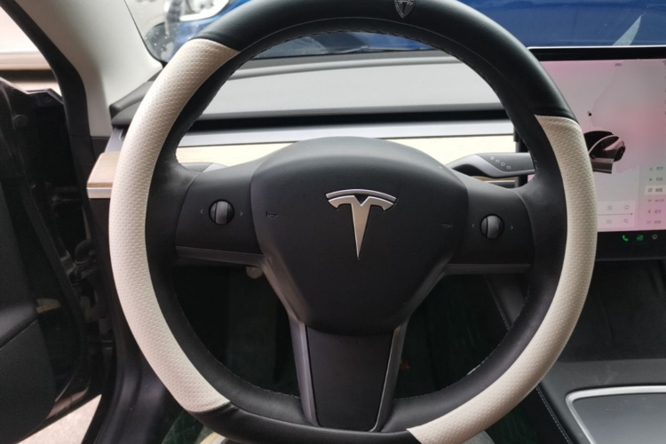 Tesla Model 3 2021 immagine di auto #11