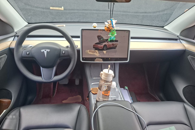 Tesla Model Y 2022 car image #11
