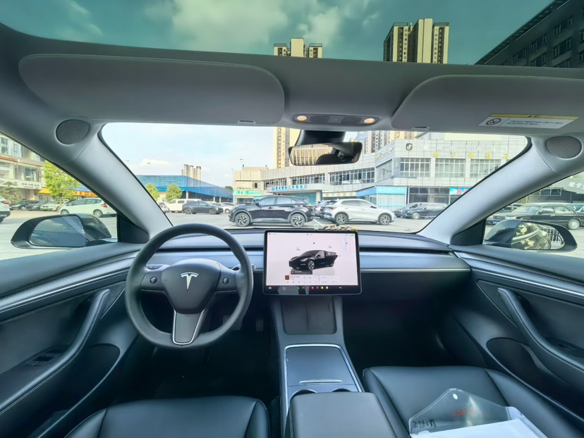 Tesla Model 3 2022 car image #6