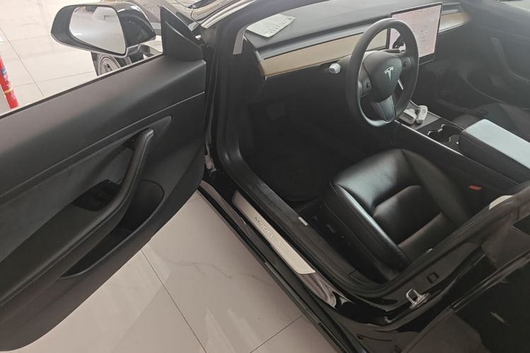 Tesla Model 3 2020 car image #16