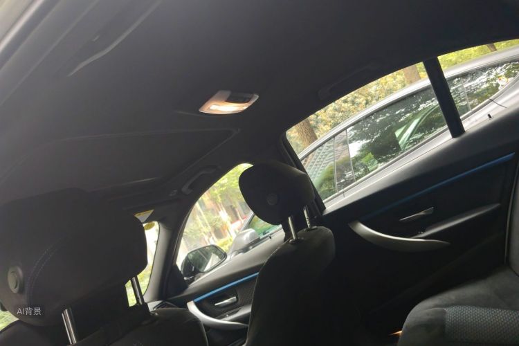 BMW 3 Series 2017 car image #20