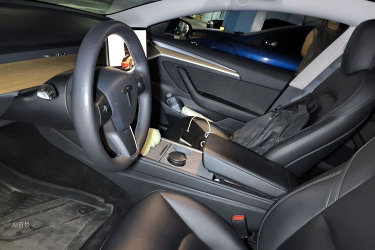Tesla Model 3 2023 car image #17