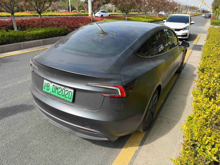 Tesla Model 3 2025 car image #8