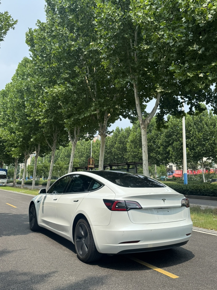 Tesla Model 3 (Imported) 2019 car image #8