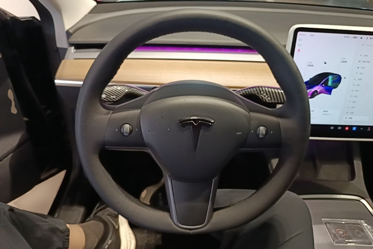 Tesla Model 3 2021 #11 Tesla Model 3 2021 immagine di auto #11