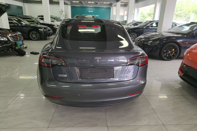 Tesla Model 3 2020 #6 Tesla Model 3 2020 car image #6
