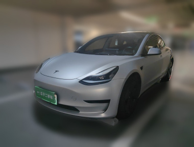 Tesla Model 3 2021 Tesla Model 3 2021 immagine di auto