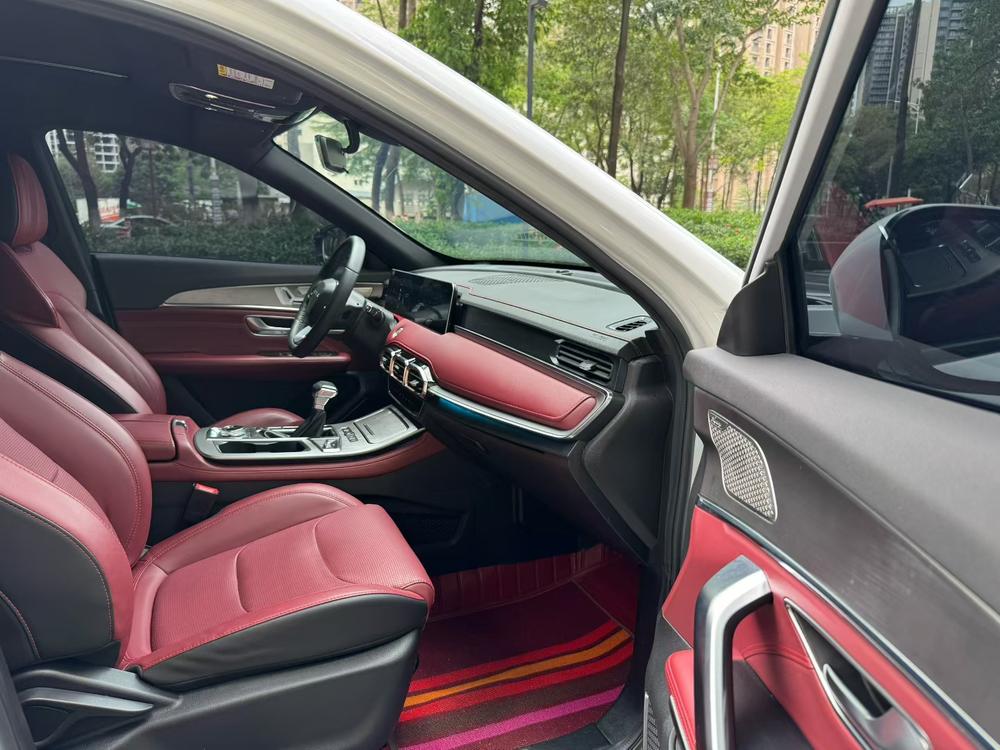 Jetour X70 PLUS 2022 car image #6