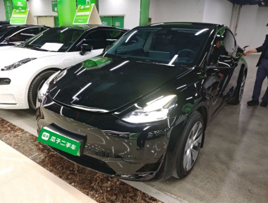 Tesla Model Y 2022 car image 