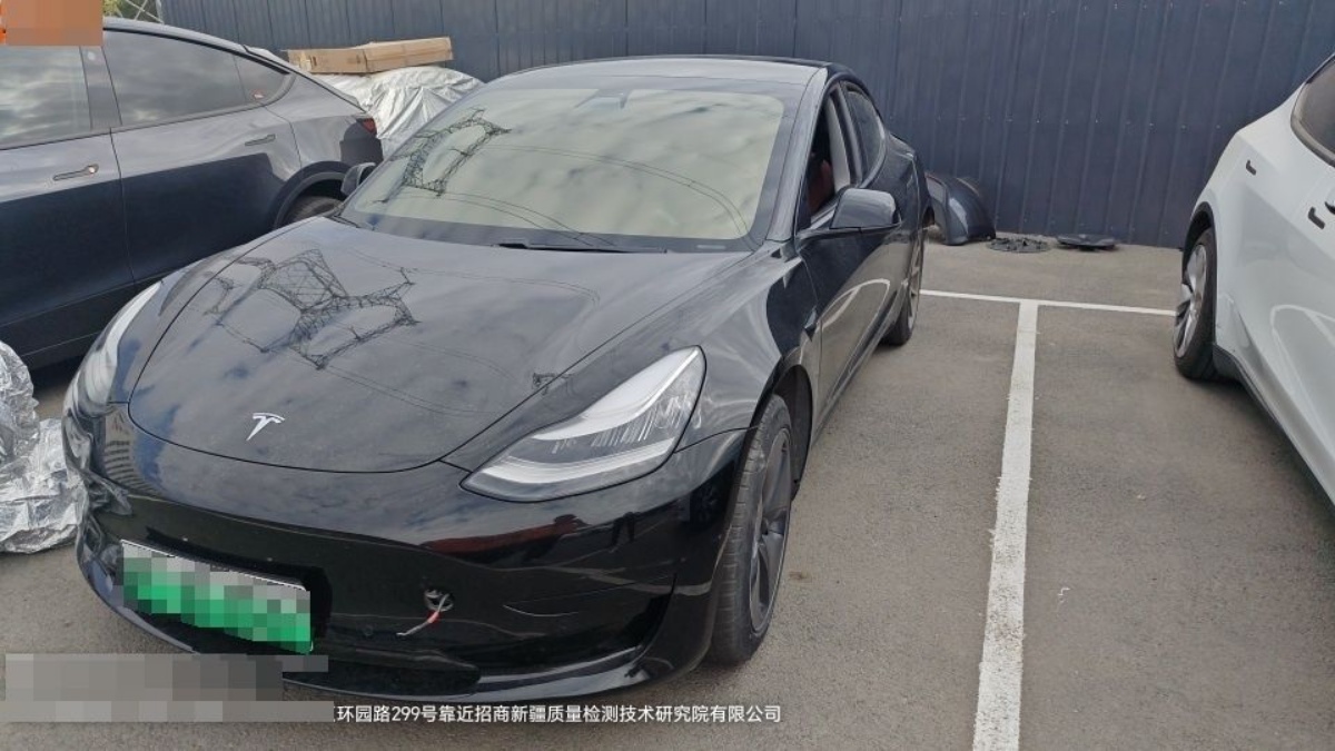 Tesla Model 3 2020 Tesla Model 3 2020 صورة سيارة