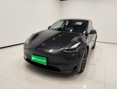 Tesla Model Y 2023 Tesla Model Y 2023 car image