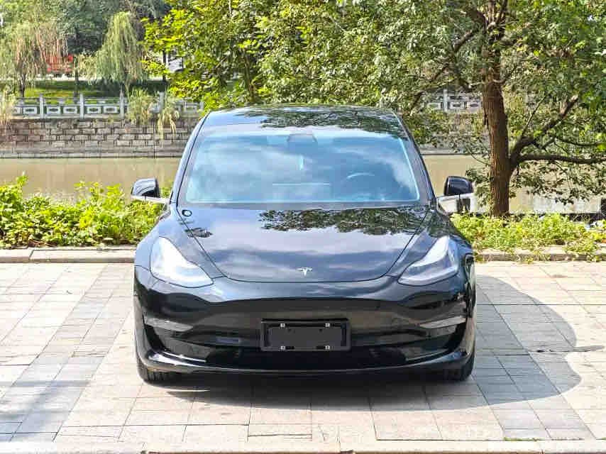 Tesla Model 3 2020 #2 Tesla Model 3 2020 car image #2