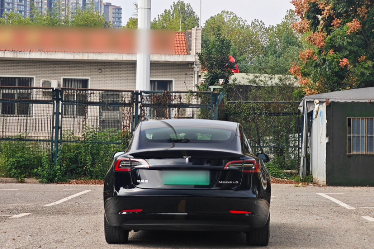 Tesla Model 3 2023 car image #10