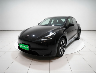 Tesla Model Y 2023 car image 