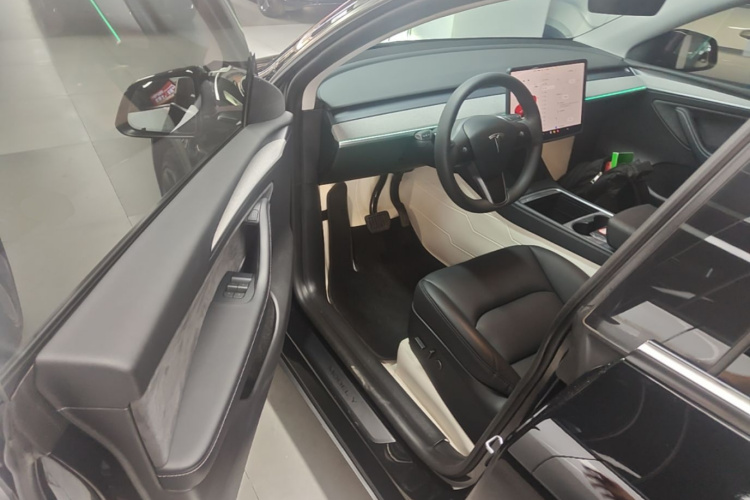 Tesla Model Y 2023 car image #16