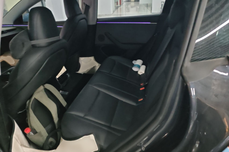 Tesla Model 3 2024 car image #17