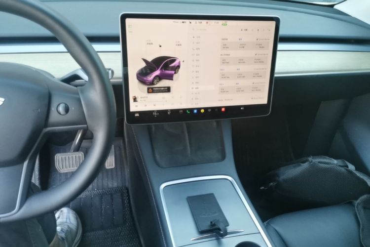 Tesla Model Y 2023 car image #10