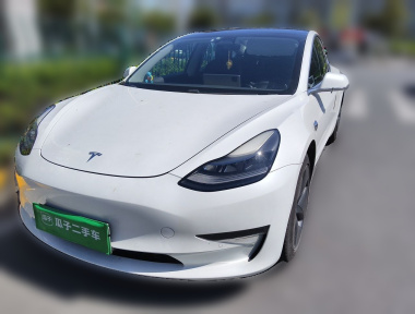 Tesla Model 3 2020 Tesla Model 3 2020 immagine di auto