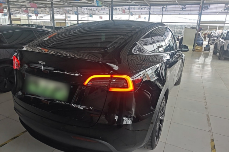 Tesla Model Y 2021 car image #7