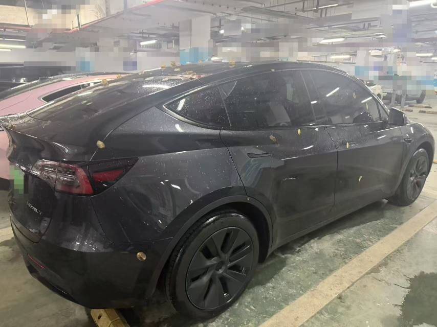 Tesla Model Y 2024 immagine di auto #4