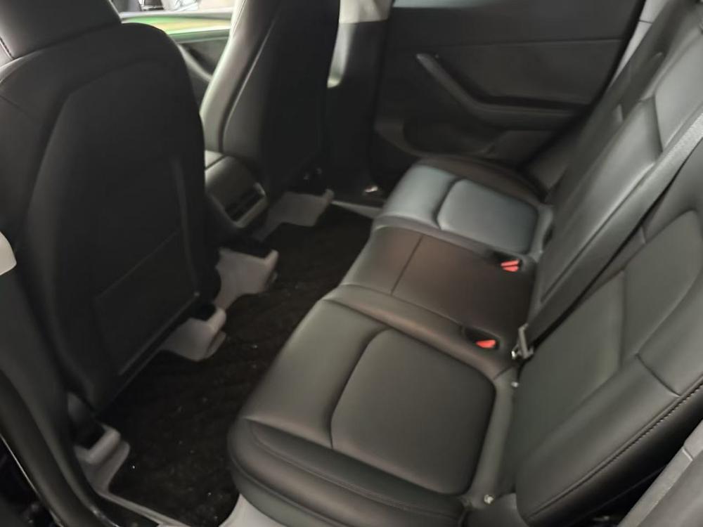 Tesla Model Y 2023 #12 Tesla Model Y 2023 car image #12