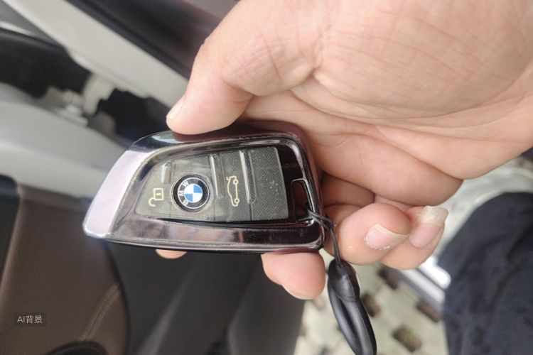 BMW X1 2019 car image #10