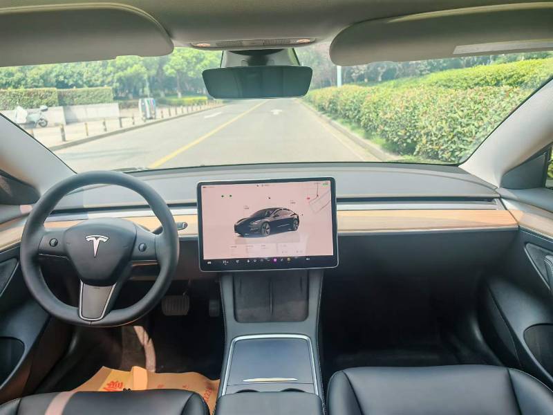 Tesla Model 3 2023 car image #8