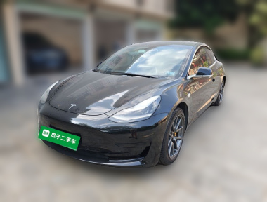Tesla Model 3 2020 Tesla Model 3 2020 car image
