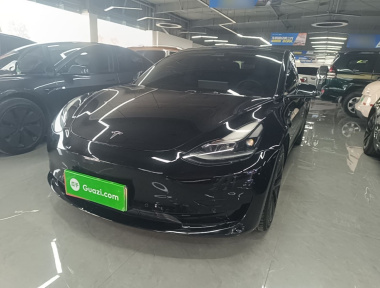 Tesla Model 3 2021 Tesla Model 3 2021 car image