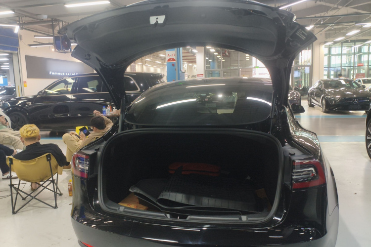 Tesla Model 3 2021 #19 Tesla Model 3 2021 car image #19