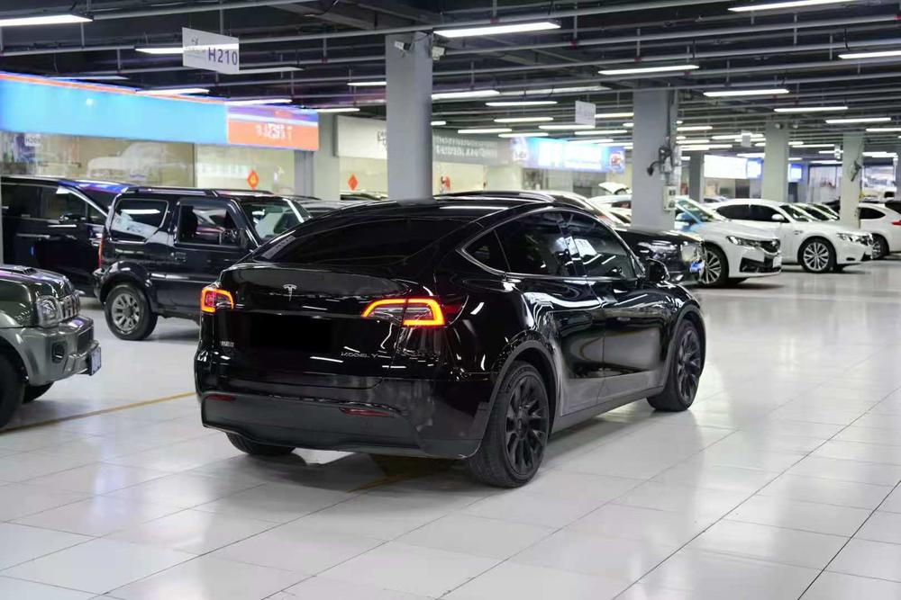 Tesla Model Y 2023 #6 Tesla Model Y 2023 car image #6